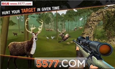 Deer Hunting Sniper Safari - Animals Hunt(¹Ծѻְ׿)ͼ2