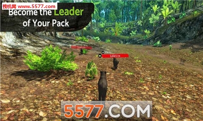 PantherOnline(Panther Online׿)ͼ2