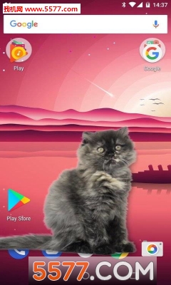 ɰè̬Ļ(Cat Walks in Phone Cute joke)ͼ2