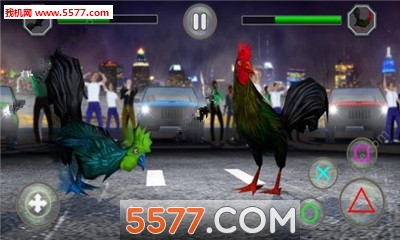 Rooster Fighting(񶷰׿)ͼ0