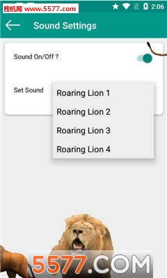 lion on screen׿؈D1