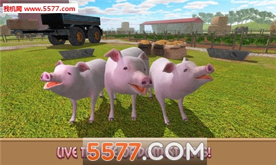 Pig Simulator(ģ׿)ͼ0