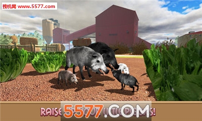 Pig Simulator(ģ׿)ͼ2