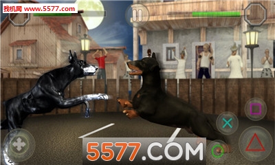 ʸ񶷰׿(Dog Fighting)ͼ0