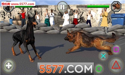 ʸ񶷰׿(Dog Fighting)ͼ1