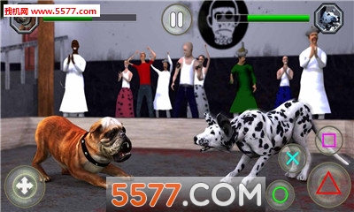 ʸ񶷰׿(Dog Fighting)ͼ2