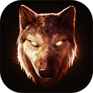 (The Wolf: Online RPG Simulator())