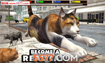 UltCatSim(ռèģٷUltimate Cat Simulator)ͼ0