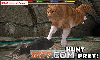 UltCatSim(ռèģٷUltimate Cat Simulator)ͼ1