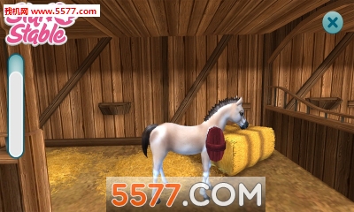 (Star Stable Horses)ͼ1