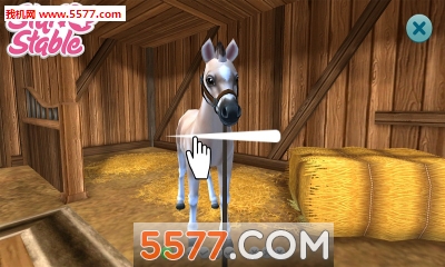 (Star Stable Horses)ͼ2