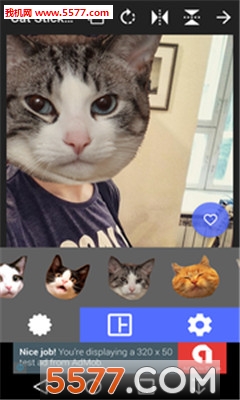 Cat Stickers(؈ĘƬܛ)؈D1