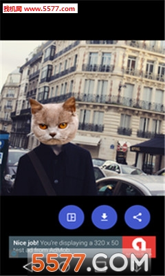 Cat Stickers(؈ĘƬܛ)؈D2