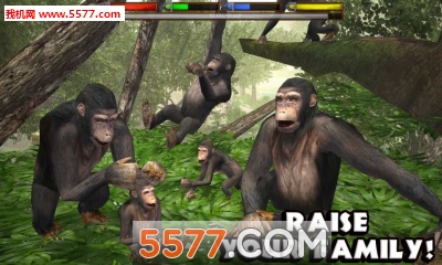 JungleSim(ֶģϷ(Ultimate Jungle Simulator))ͼ0