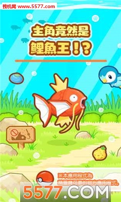 Magikarp(Ծ׿(Pokmon))ͼ0