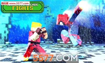 Pixel Fighter(ظ3D)؈D1