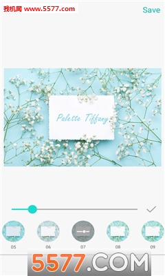 Palette Tiffany׿ͼ1