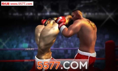 3Dȭ(Boxing 3D - Real Punch Games)ͼ1