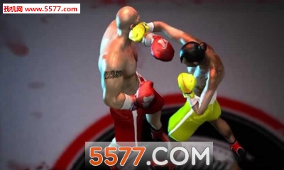 3Dȭ(Boxing 3D - Real Punch Games)ͼ2