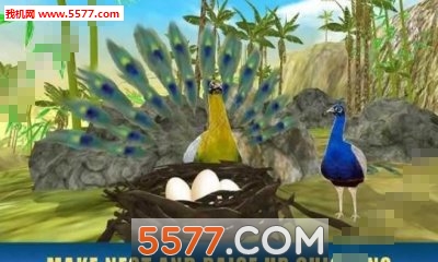 ȸģ׿(Peacock Simulator 3D)ͼ0