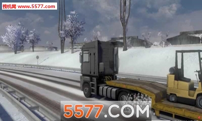 Truck Driver Snow Winter(ģ)ͼ2