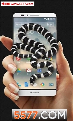 ֙C(j)app(Snake On Screen Prank)؈D1