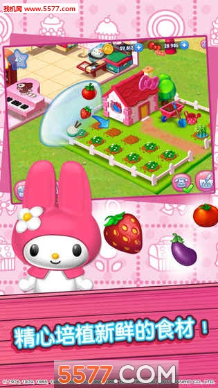 Hello Kitty Food Town(HelloKittyʳС(zhn)׿)؈D2