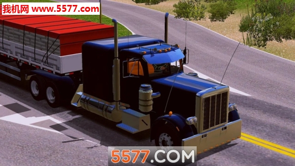 World Truck Driving Simulator׿؈D0