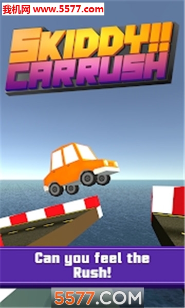 Skiddy Car Rush׿؈D2