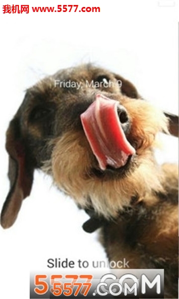 Dog Licks Lock Screen(ڼ֙C(j))؈D1