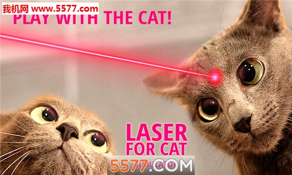 Laser for cat Simulator֙C؈D0