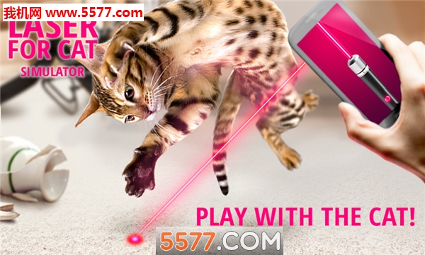 Laser for cat Simulator֙C؈D1