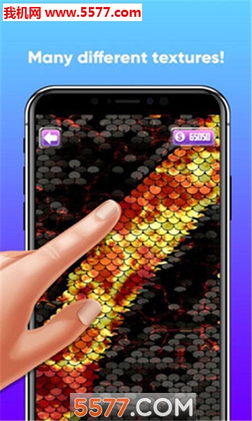 Real Flip Sequin - Live Screen(Real Flip Sequin֙C)؈D0