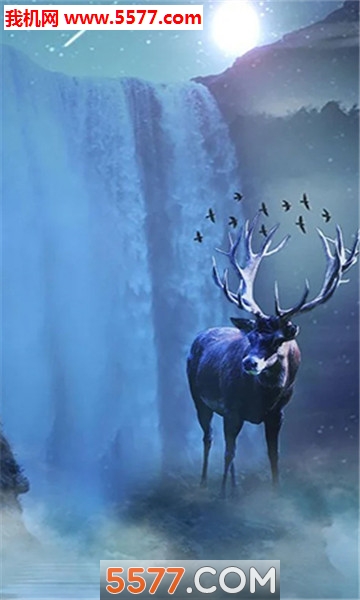 Deer Winter(Winter deer׿)ͼ0