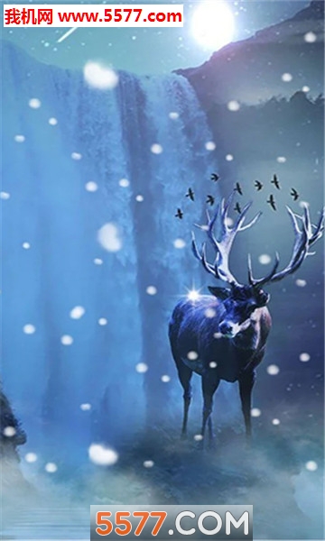 Deer Winter(Winter deer׿)ͼ1