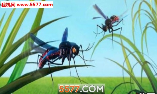 Mosquito Insect Simulator 3D(ģ3D׿)ͼ0