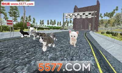 Kitten Cat Craft Racing:Cute Cat World Tournament(èܰ׿)ͼ1