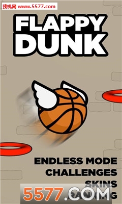 Flappy Dunk(Ͷ)ͼ4