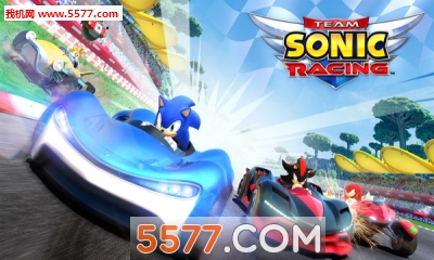 sonic racing car(M(du)ِ܇(Team Sonic Racing)׿)؈D1