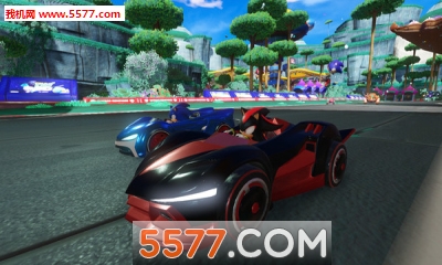 sonic racing car(M(du)ِ܇(Team Sonic Racing)׿)؈D2