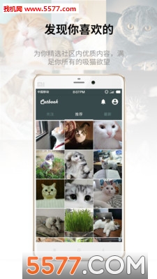 Catbook؈app؈D4