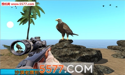 Desert Birds Sniper Hunter(ɳĮѻְ׿)ͼ1