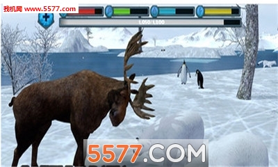 Polar Bear Simulator(OģM3D׿)؈D0