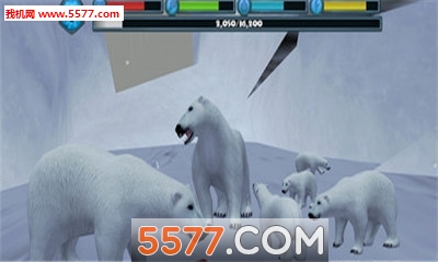 Polar Bear Simulator(OģM3D׿)؈D2