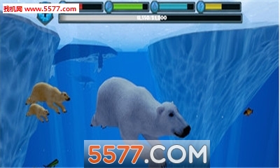 Polar Bear Simulator(ģ3Dٷ)ͼ1