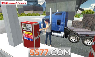 World Truck Driving Simulator(翨ģֻϷ)ͼ0