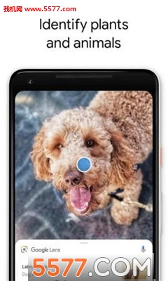 R^(google lens׿)؈D2