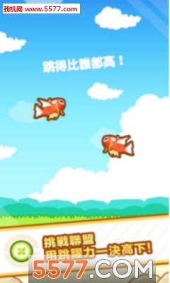 Magikarp(S~(y)׿)؈D0