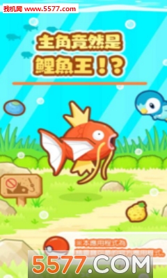 Magikarp(S~(y)׿)؈D3