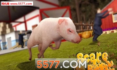 Pig Simulator(ģС)ͼ0